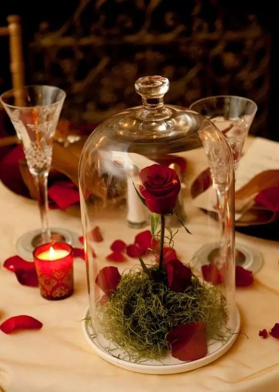 永生花是什么花,永生花被淋了