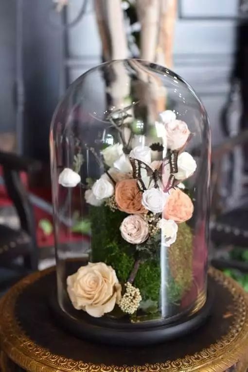 永生花是什么花,永生花被淋了