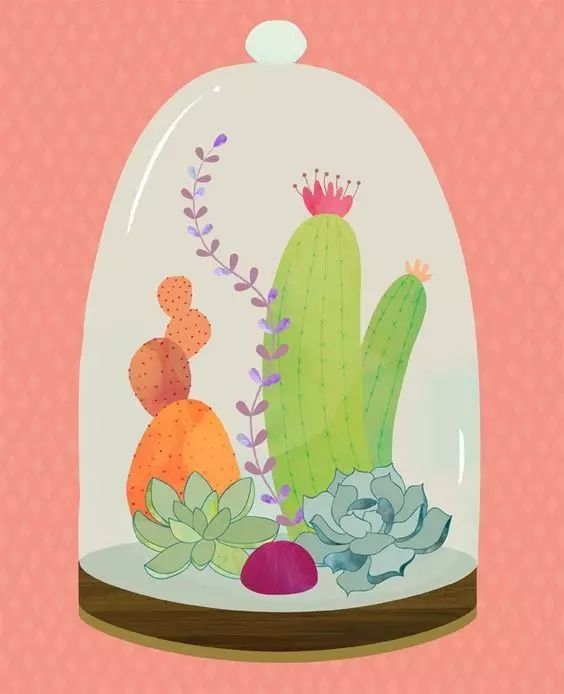 永生花是什么花,永生花被淋了