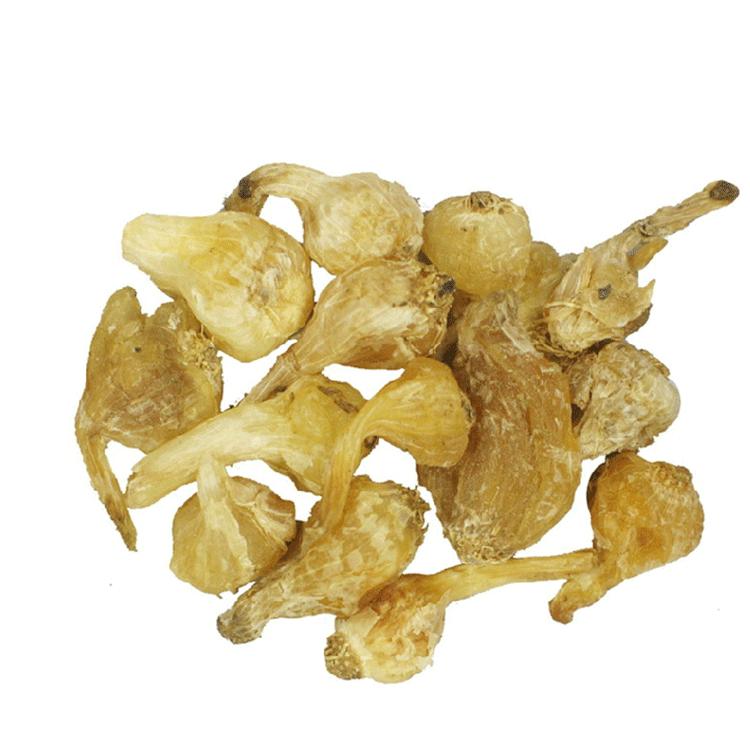 心阳不足寒湿内盛的症状,心阳虚伴有湿寒怎么治疗