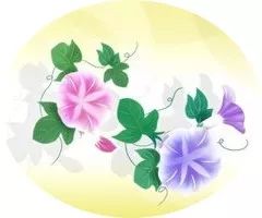 三字经全文对照译文,国学三字经全文通译