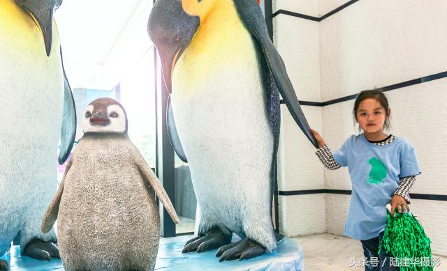 暑期游珠海长隆海洋王国,带你去看珠海长隆海洋王国