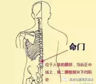 生病怎么调养,生病身体虚怎么补