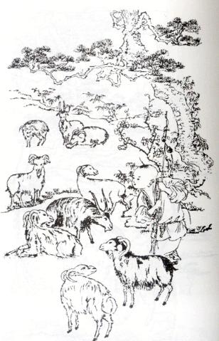 这些中国传统吉祥图案你见过几个?知道图案寓意吗?