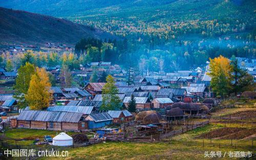 地方特色名酒,新疆名酒伊力特曲的价格