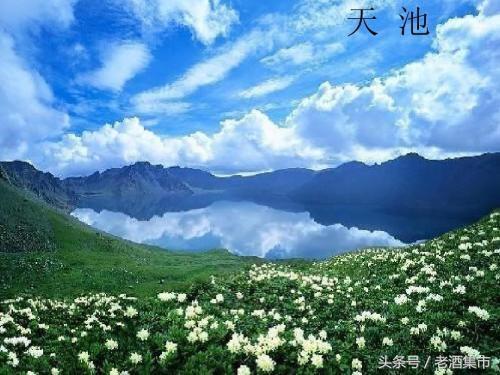 地方特色名酒,新疆名酒伊力特曲的价格