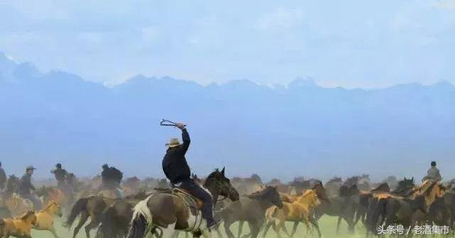 地方特色名酒,新疆名酒伊力特曲的价格