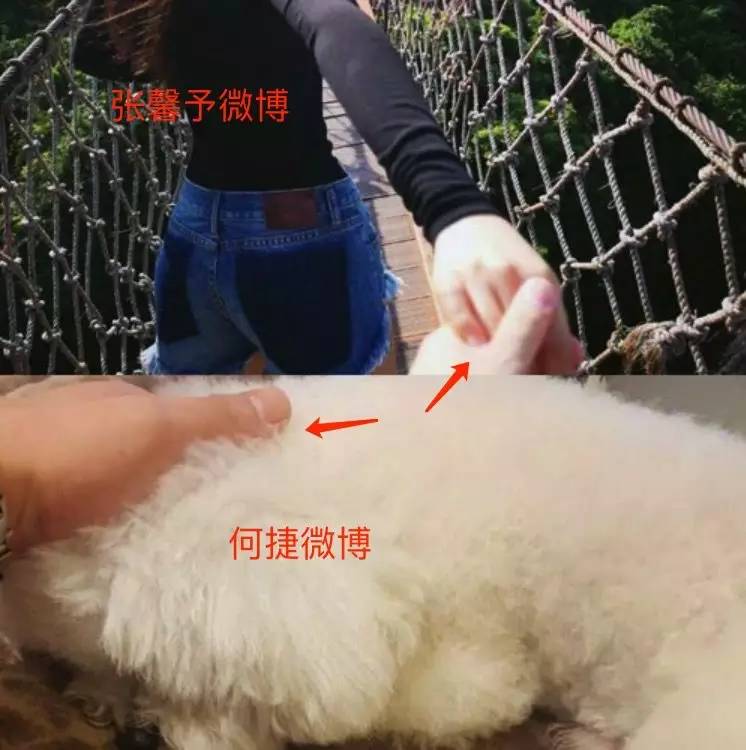 张馨予自曝黑历史,张馨予与兵哥哥过得咋样了