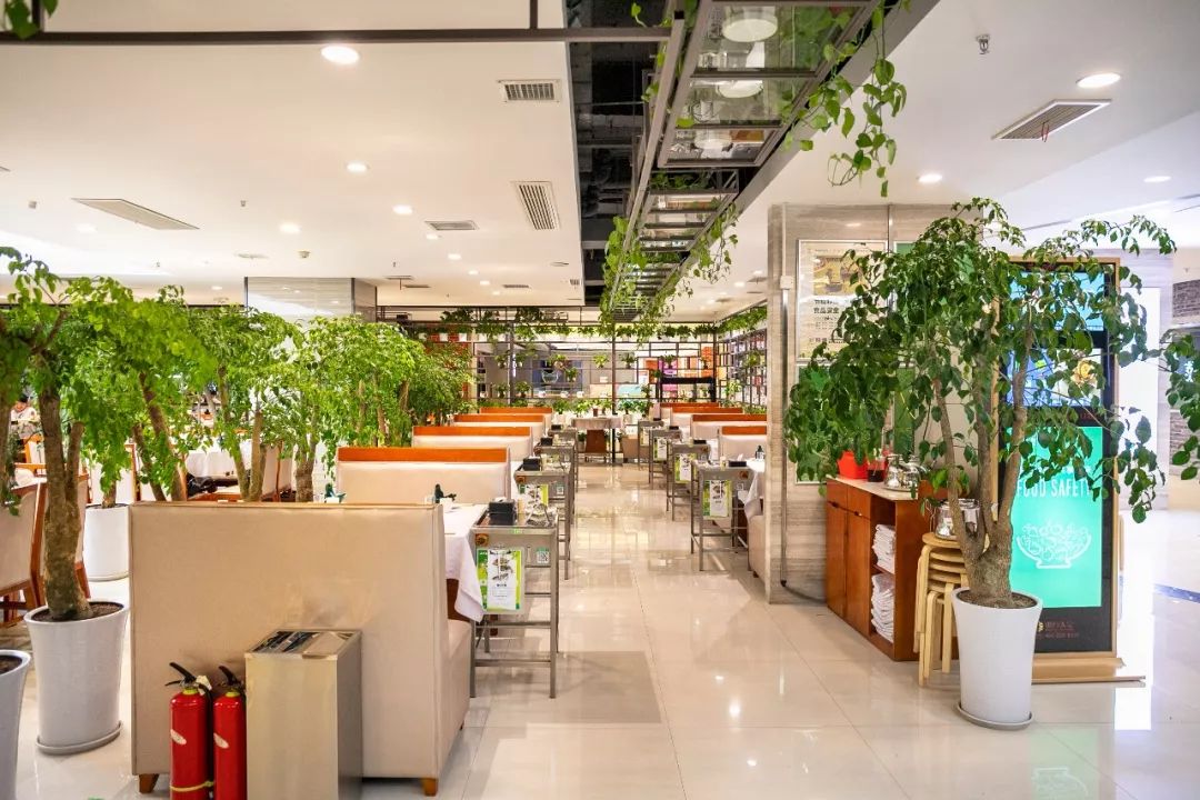 比仙女山好玩的地方,仙女山森林火锅