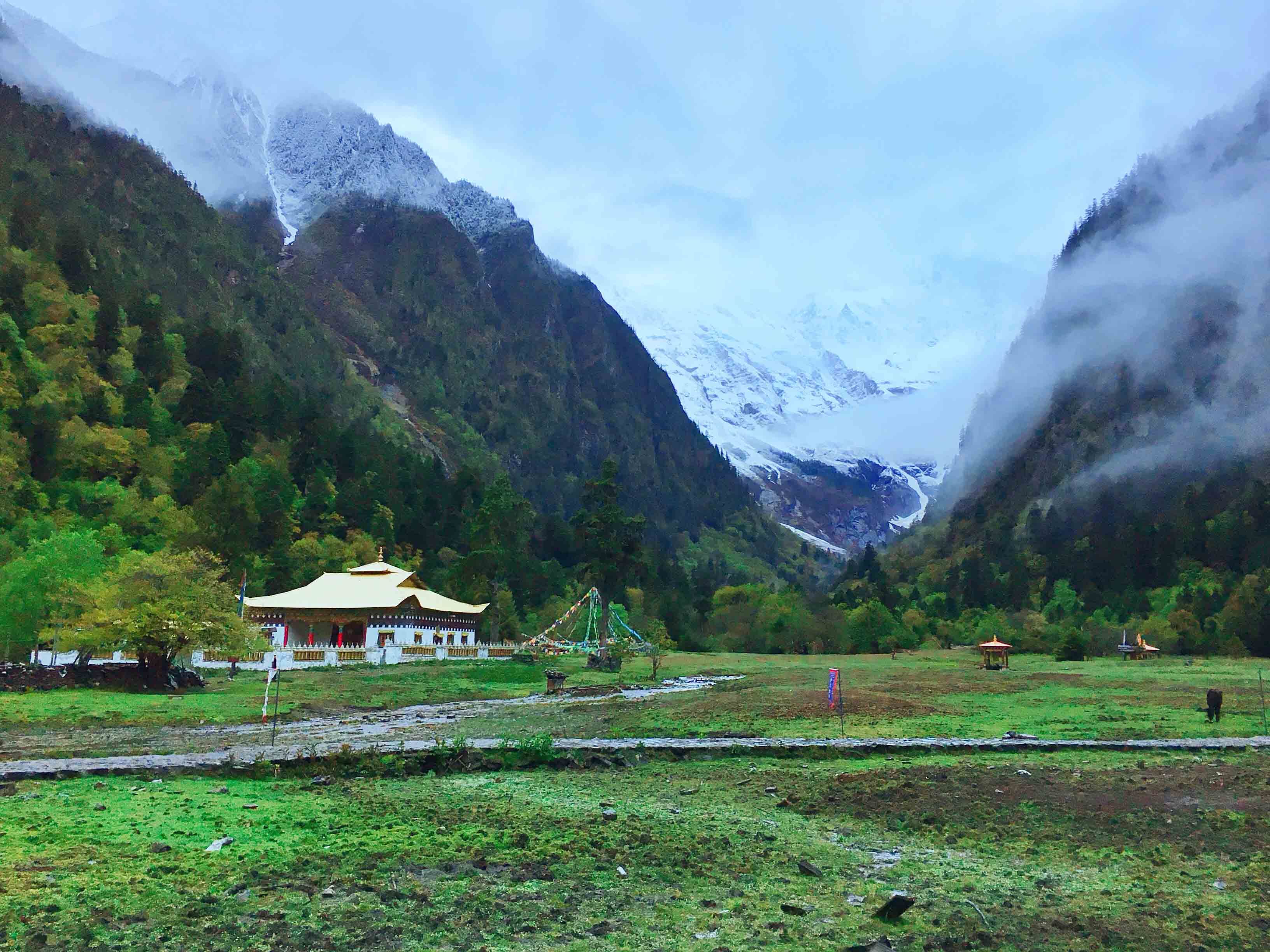 强迫症治疗一次需要多少钱,强迫症治疗一年费用多少