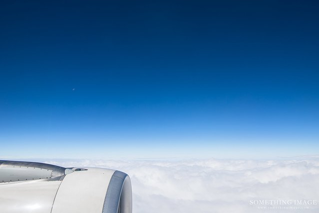 奈良·京都·大阪｜故梦秋缘此京中，人忆晚枫相映红