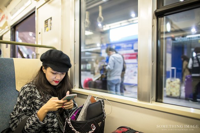 奈良·京都·大阪｜故梦秋缘此京中，人忆晚枫相映红