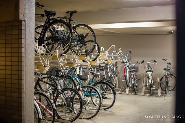 奈良·京都·大阪｜故梦秋缘此京中，人忆晚枫相映红