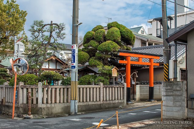 奈良·京都·大阪｜故梦秋缘此京中，人忆晚枫相映红