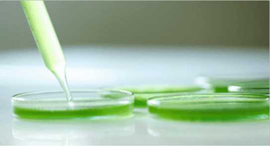 有了它,再也没人买假货了