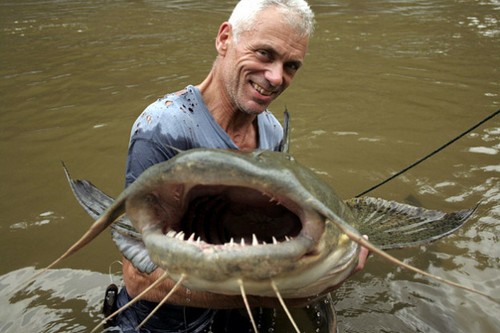 海洋里最危险的鱼,亚马逊河最危险的鱼