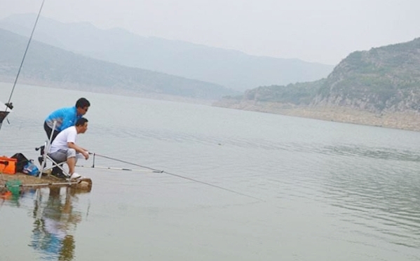 虾米闹窝怎么办,虾米闹窝怎么钓鱼