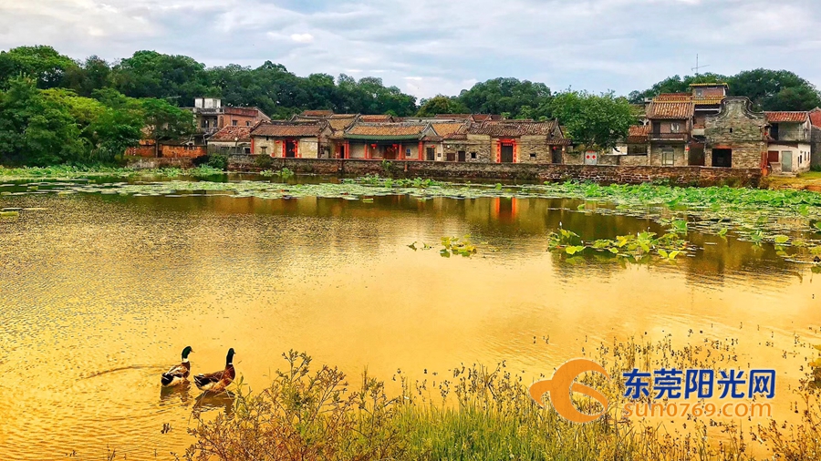 高质量发展的主要内容,高质量发展阶段向什么阶段发展