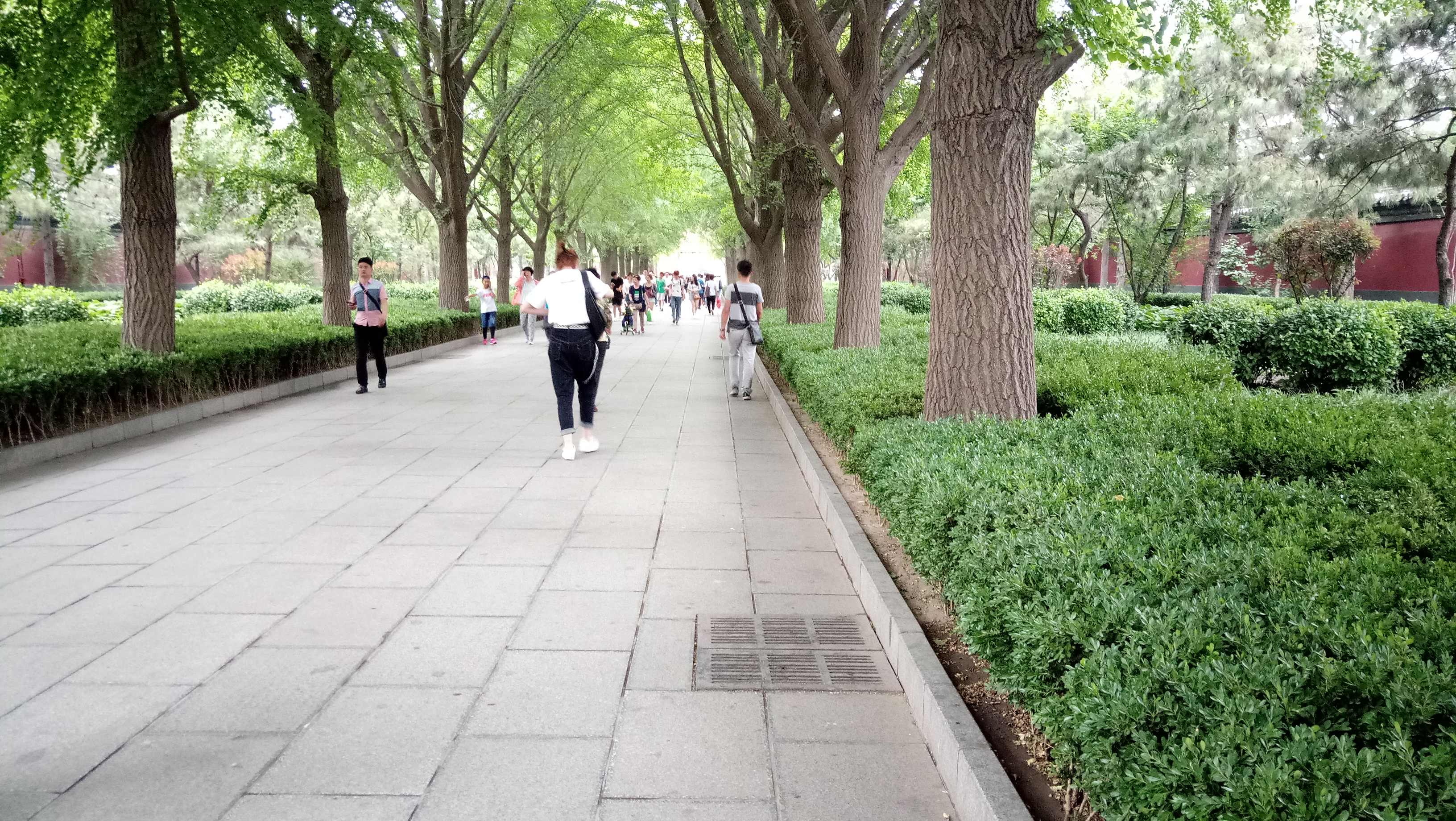 北京故宫雍和宫旅游攻略,北京雍和宫值得参观吗