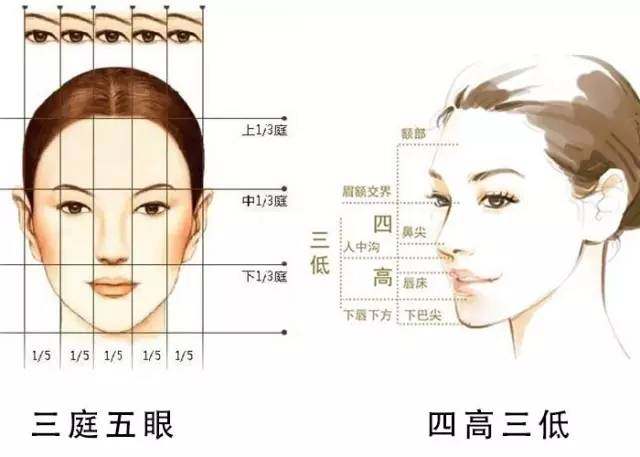 最新美女都有什么标准,气质型美女和一般美女对比