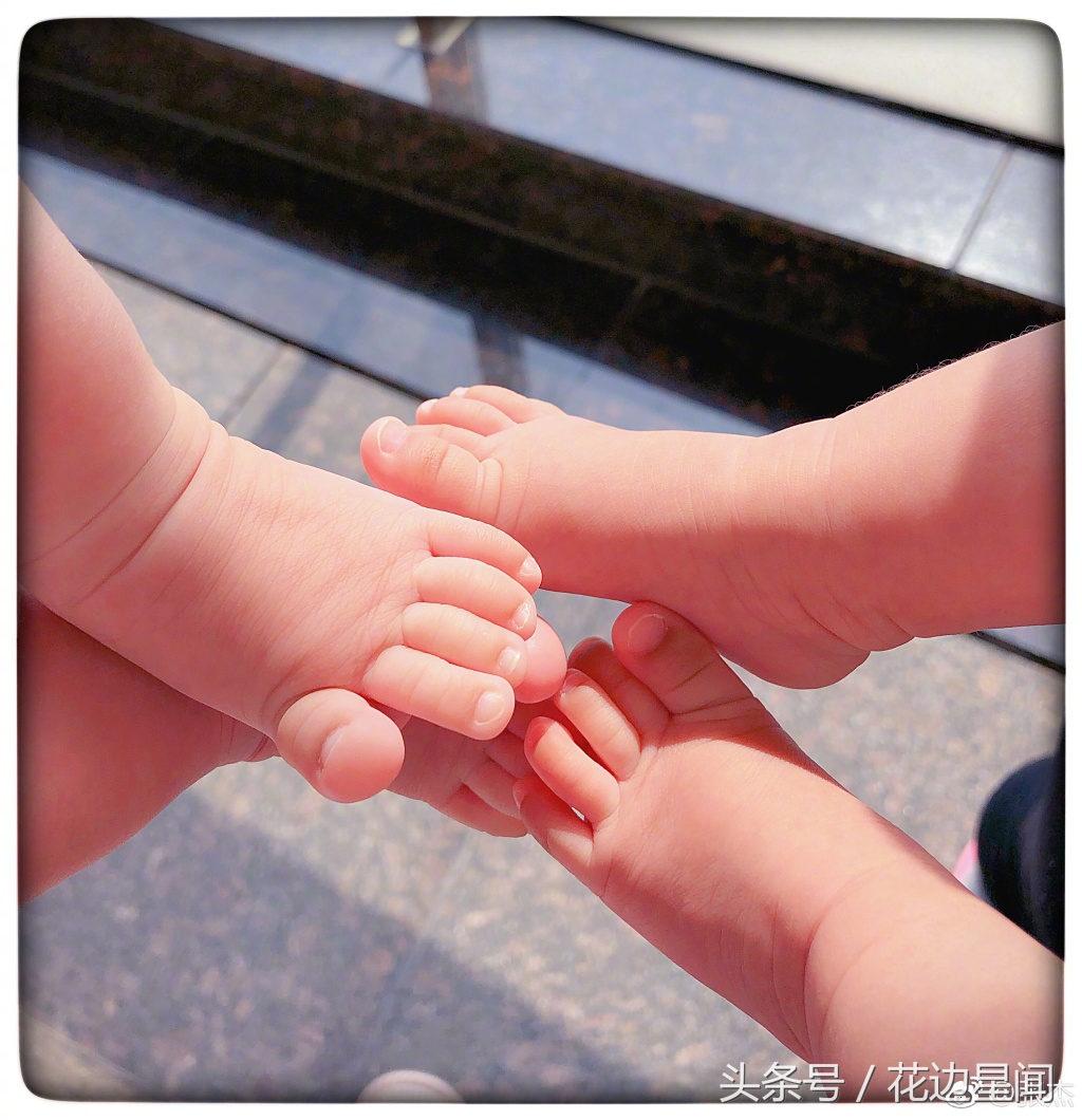 刘烨谢娜最近新消息,刘烨和谢娜早期照片