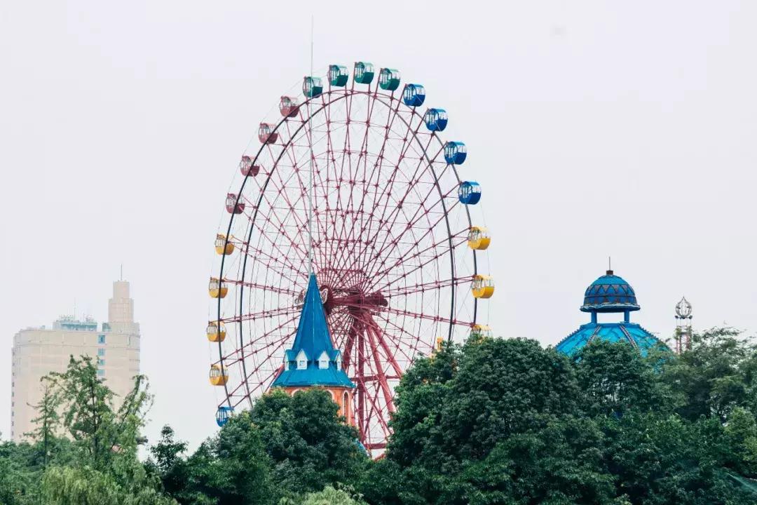 都想买到天府新区去？小孩究竟在哪上学你真了解？