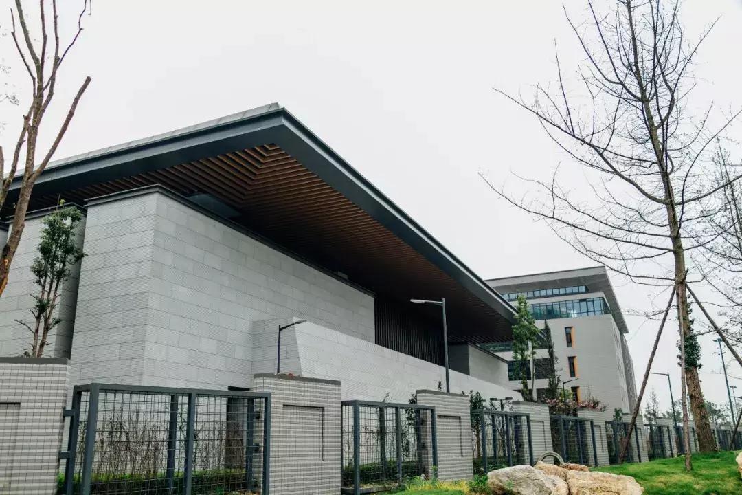 都想买到天府新区去？小孩究竟在哪上学你真了解？