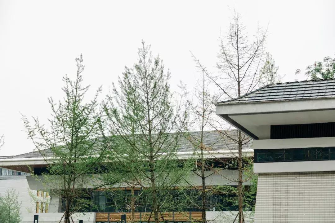 都想买到天府新区去？小孩究竟在哪上学你真了解？