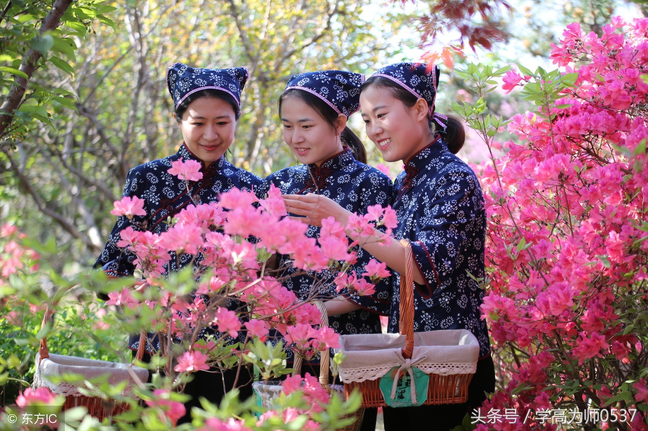 孟子名句集锦五年级上学期,五年级上册必背古诗论语三则