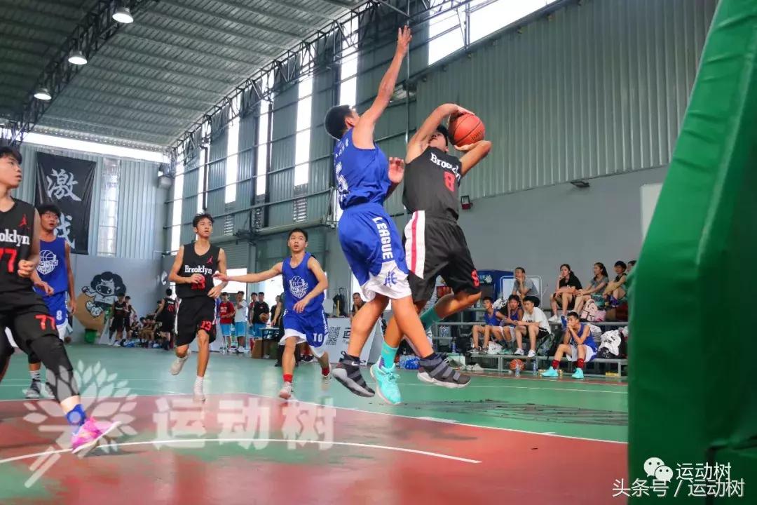 篮球嘉年华总决赛,篮球嘉年华总决赛谁赢了