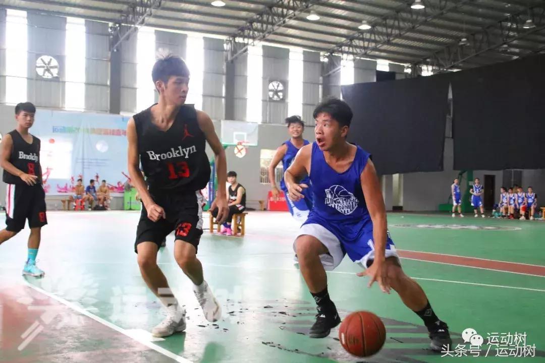 篮球嘉年华总决赛,篮球嘉年华总决赛谁赢了