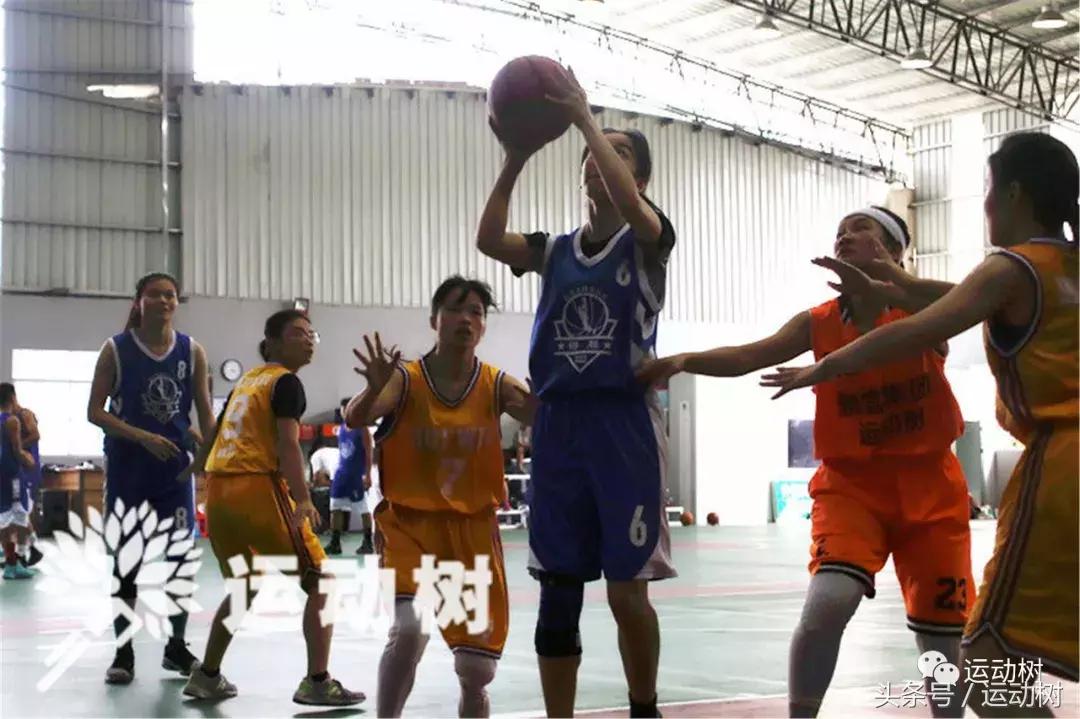 篮球嘉年华总决赛,篮球嘉年华总决赛谁赢了