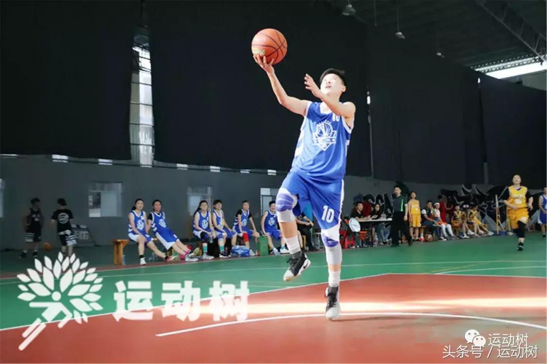 篮球嘉年华总决赛,篮球嘉年华总决赛谁赢了