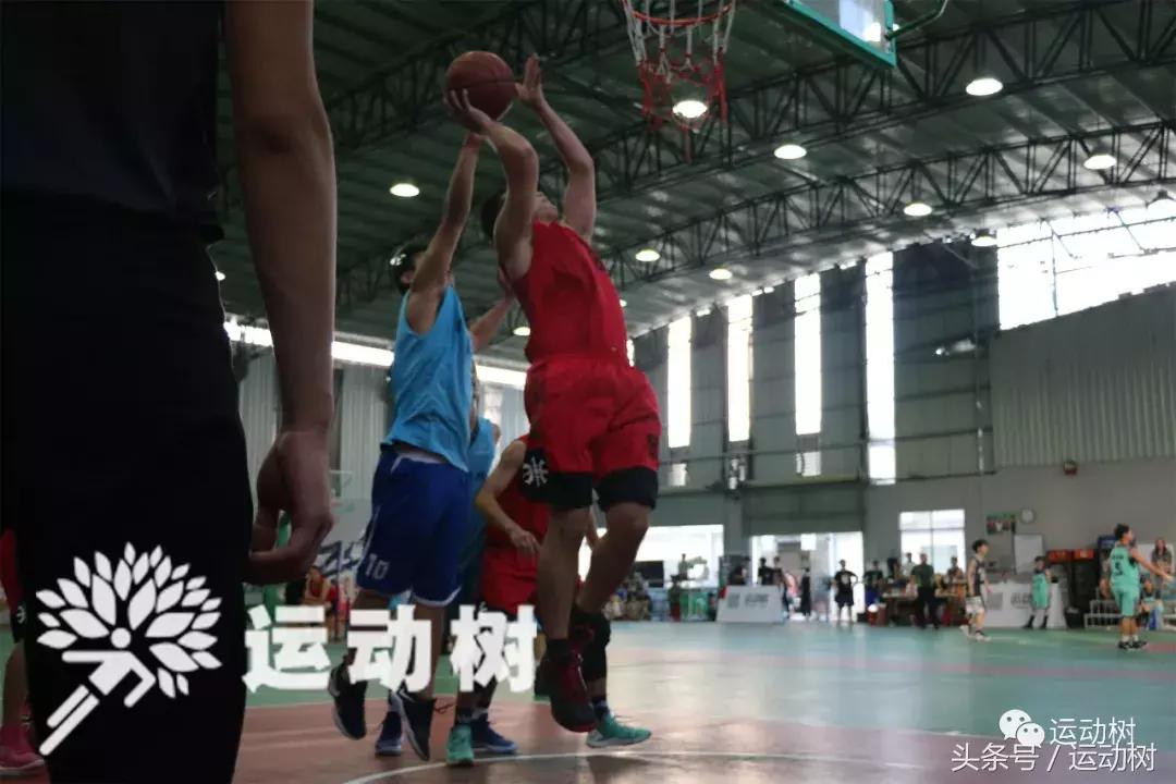 篮球嘉年华总决赛,篮球嘉年华总决赛谁赢了