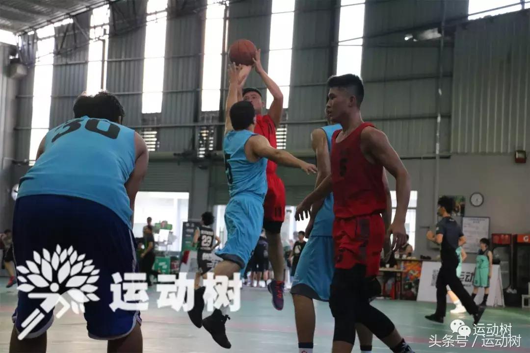 篮球嘉年华总决赛,篮球嘉年华总决赛谁赢了