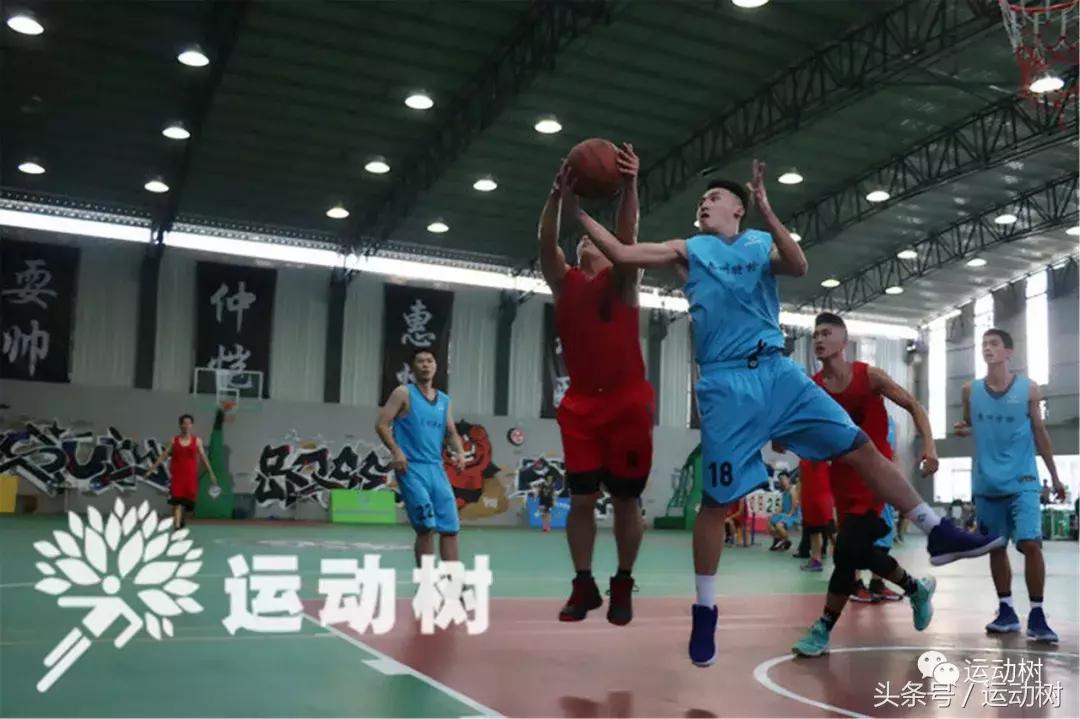 篮球嘉年华总决赛,篮球嘉年华总决赛谁赢了