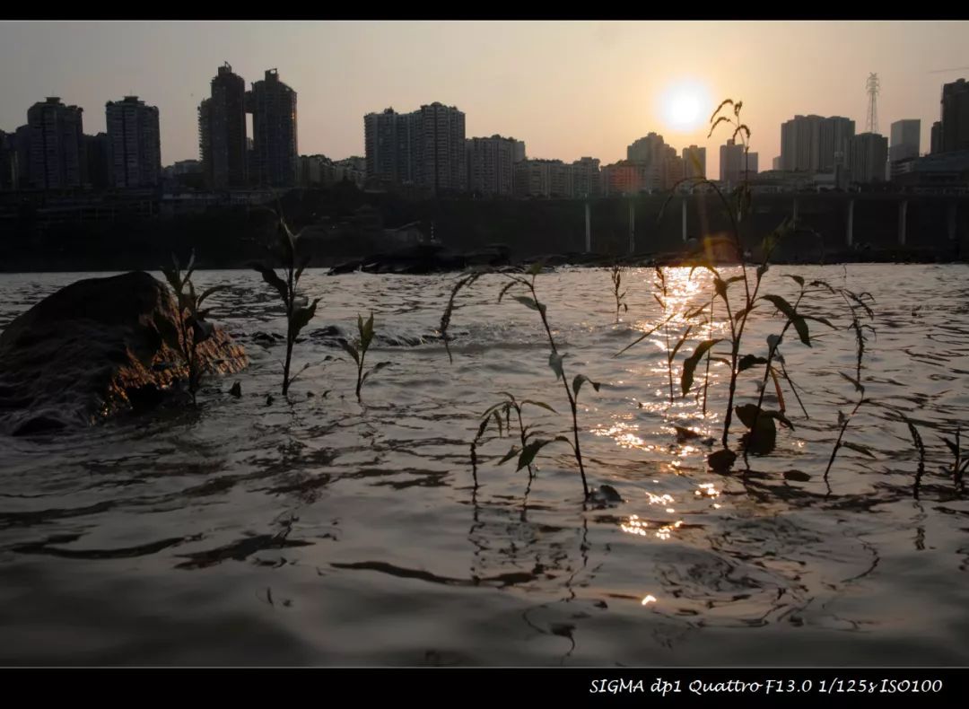 适马dp1q拍摄效果,适马dp1m和1q有什么区别