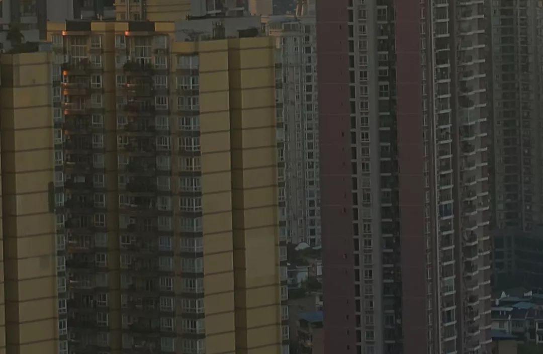 适马dp1q拍摄效果,适马dp1m和1q有什么区别