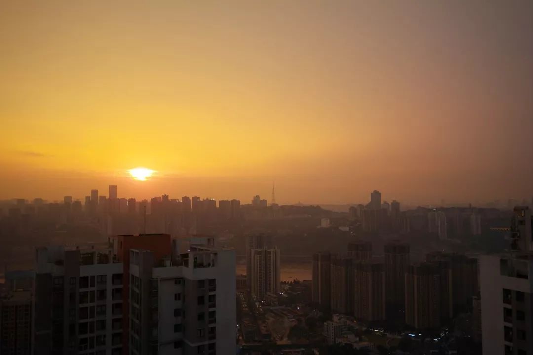 适马dp1q拍摄效果,适马dp1m和1q有什么区别