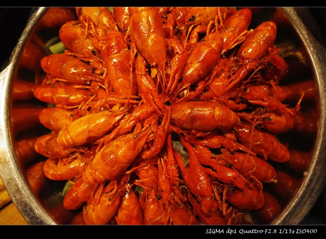 适马dp1q拍摄效果,适马dp1m和1q有什么区别