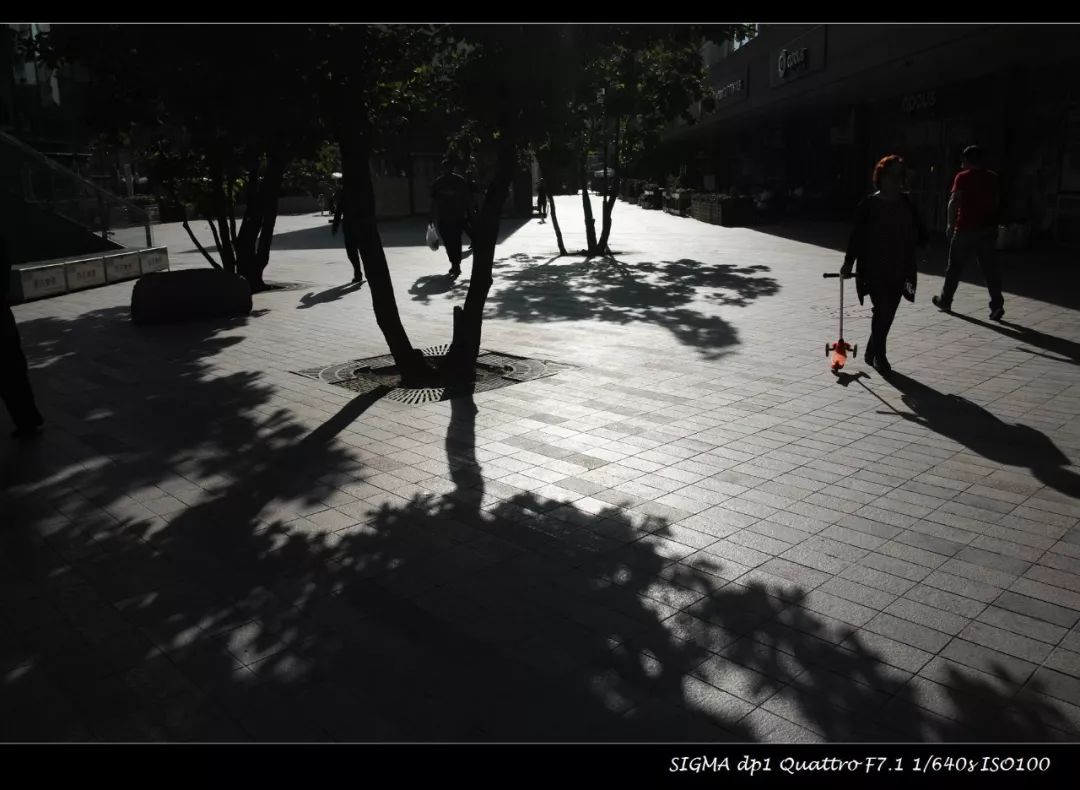 适马dp1q拍摄效果,适马dp1m和1q有什么区别