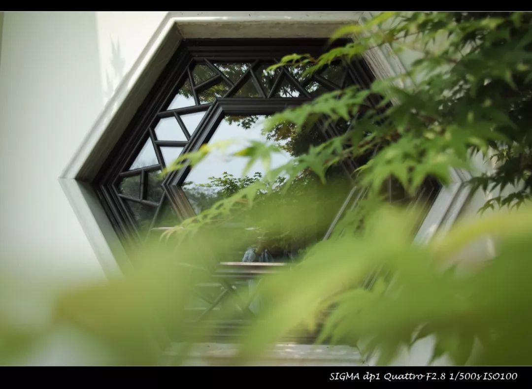 适马dp1q拍摄效果,适马dp1m和1q有什么区别