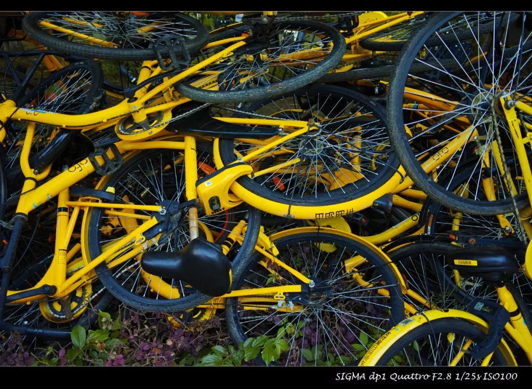 适马dp1q拍摄效果,适马dp1m和1q有什么区别