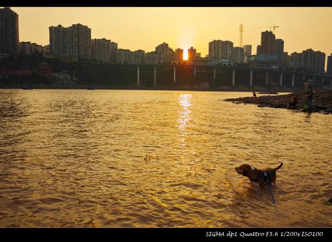 适马dp1q拍摄效果,适马dp1m和1q有什么区别