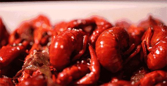 绵阳高新区啤酒节,长虹大道绵阳啤酒节