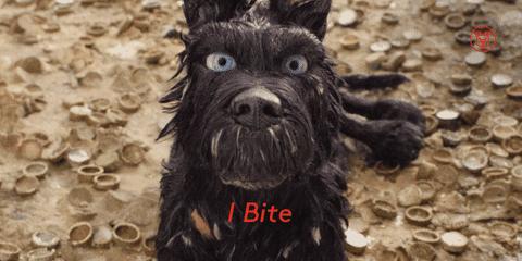 你会为身后的路人扶门吗?这33个有教养的细节,你做到了多少?