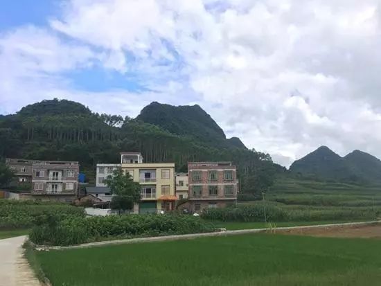 威水｜打工是不可能的！上林农村青年拍非主流视频成网红