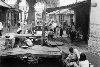 泉水歌唱,趵突泉文章老舍