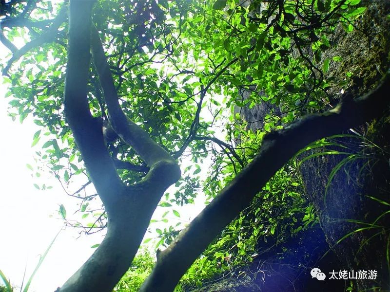 奇峰异石户外好去处,赏石奇峰异洞