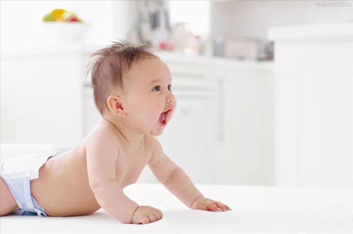 36个月宝贝早教,36岁早教益智视频